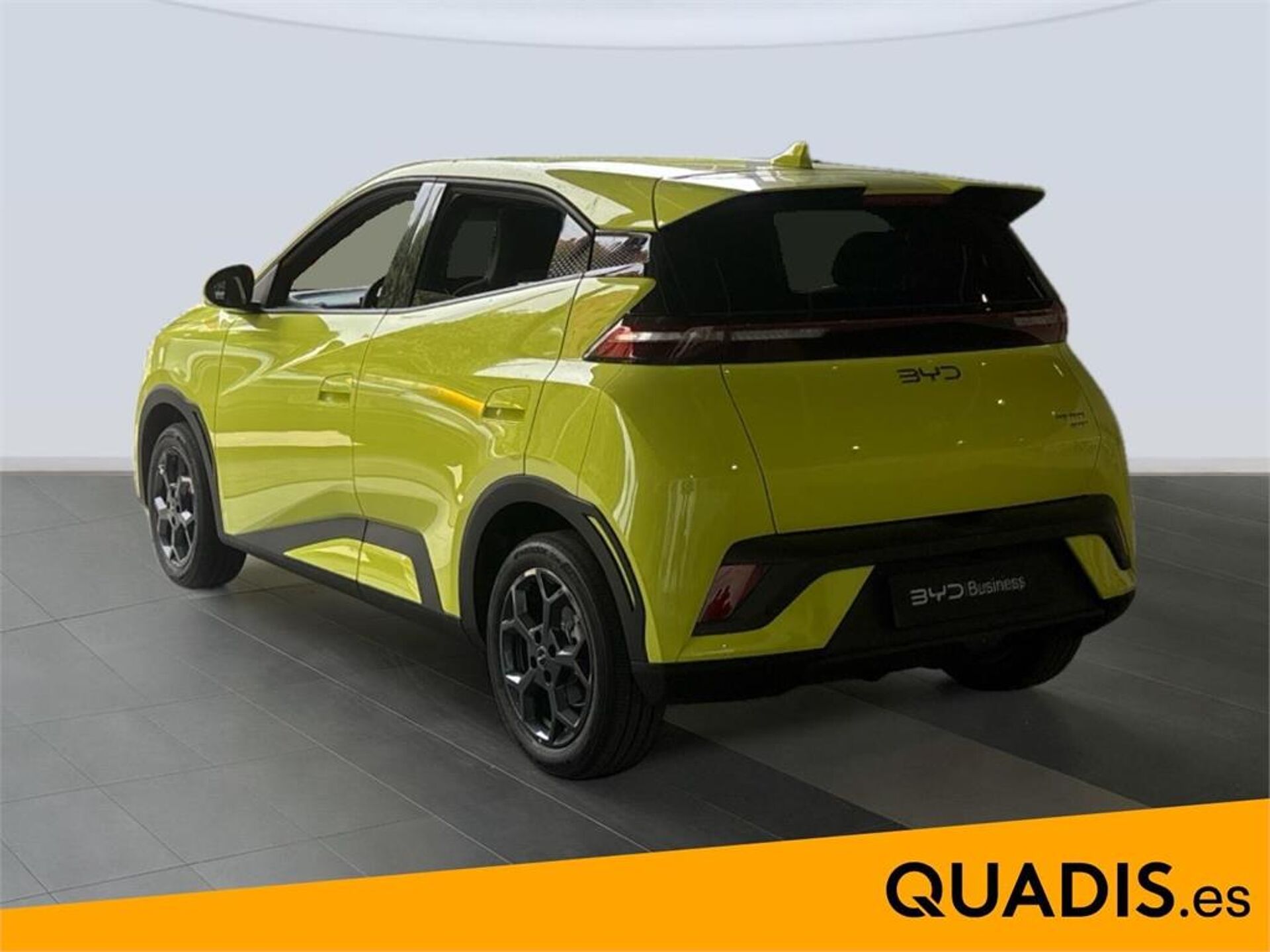 Imagen 2 de BYD Dolphin Surf