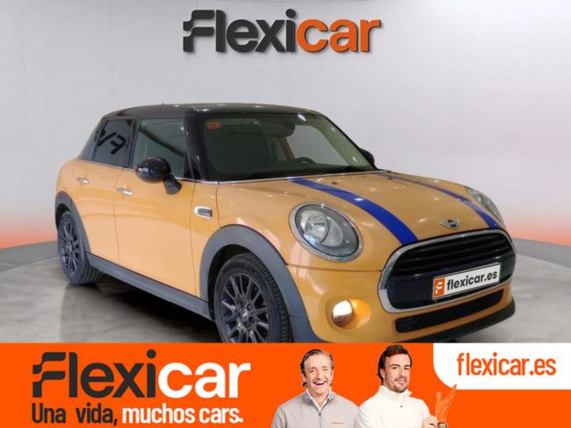 Imagen de MINI Mini