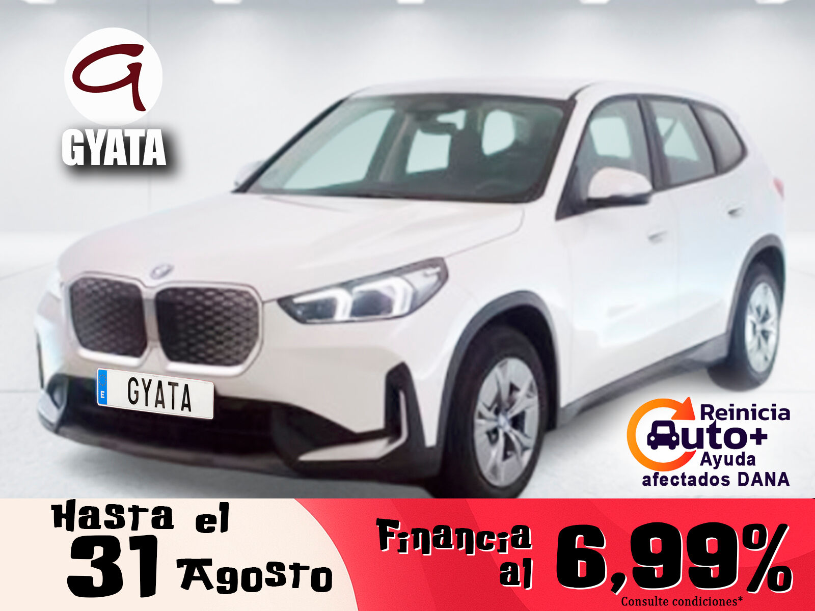 BMW iX (xDrive30 230 kW (313 CV)) en Madrid