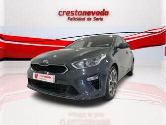 Imagen de KIA Ceed 1.6 MHEV iMT Tech DCT 136