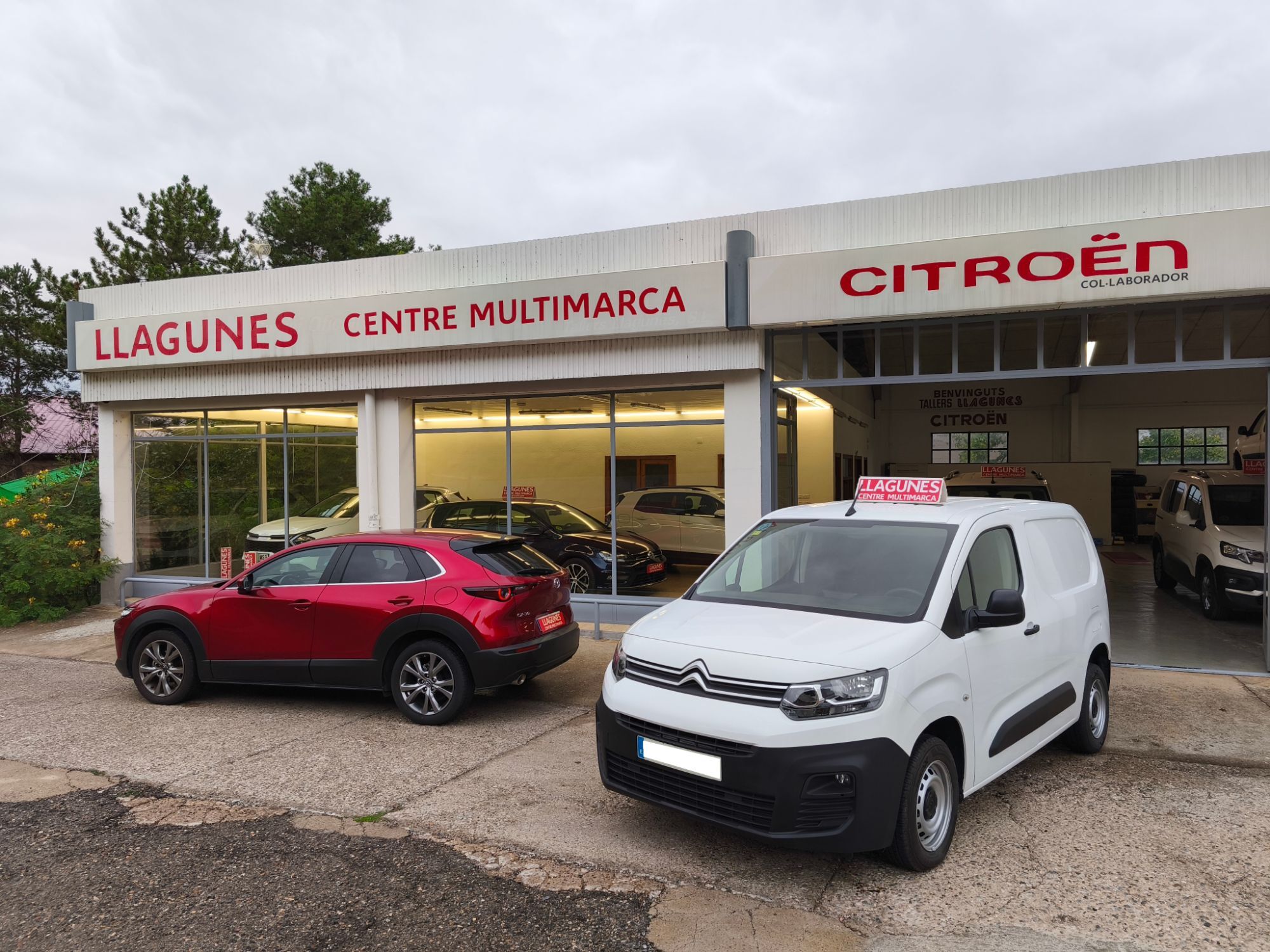 CITROEN Berlingo (Van BlueHDi S&S Talla M Control 75) en Lleida