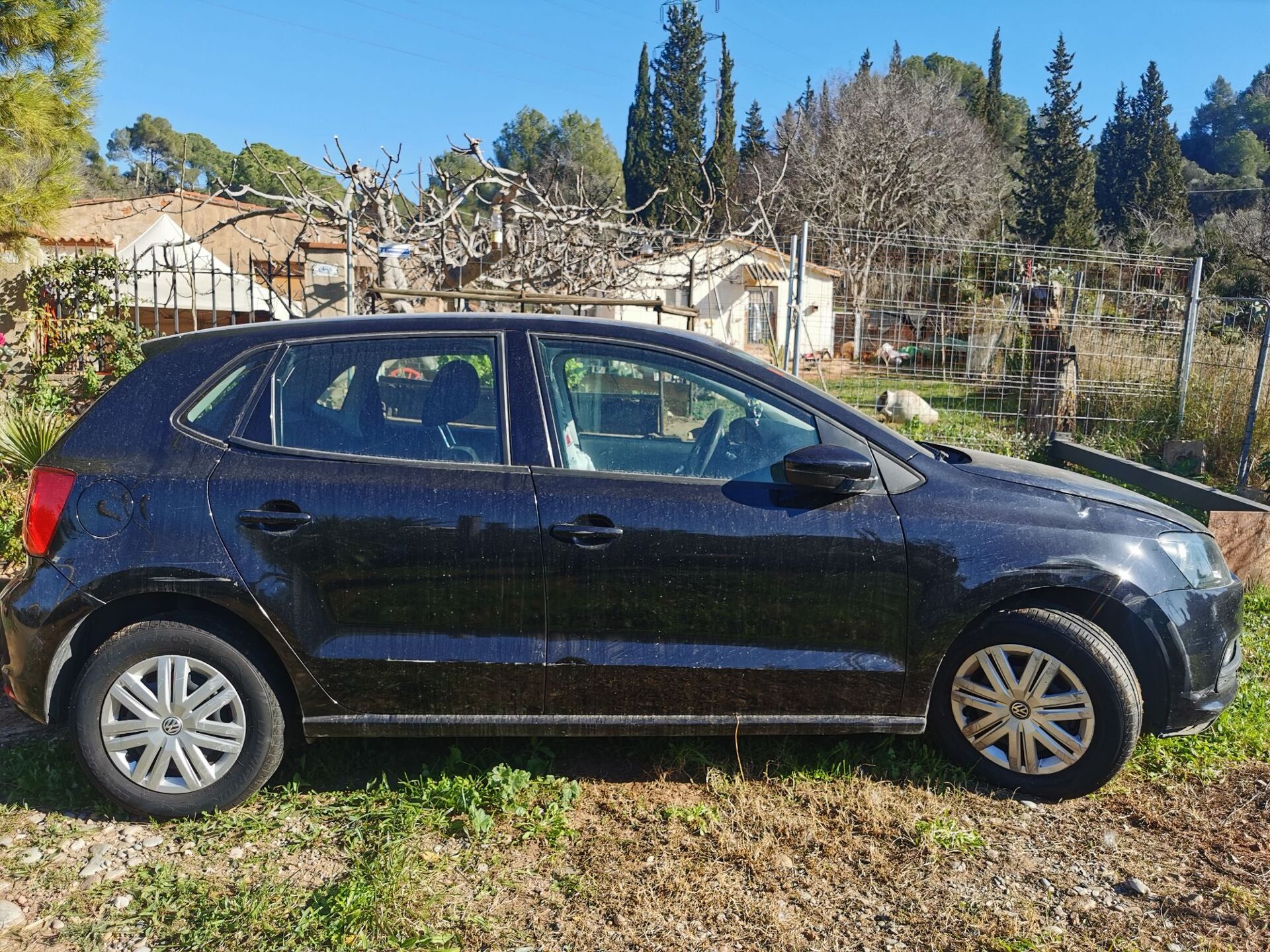 Imagen de VOLKSWAGEN Polo