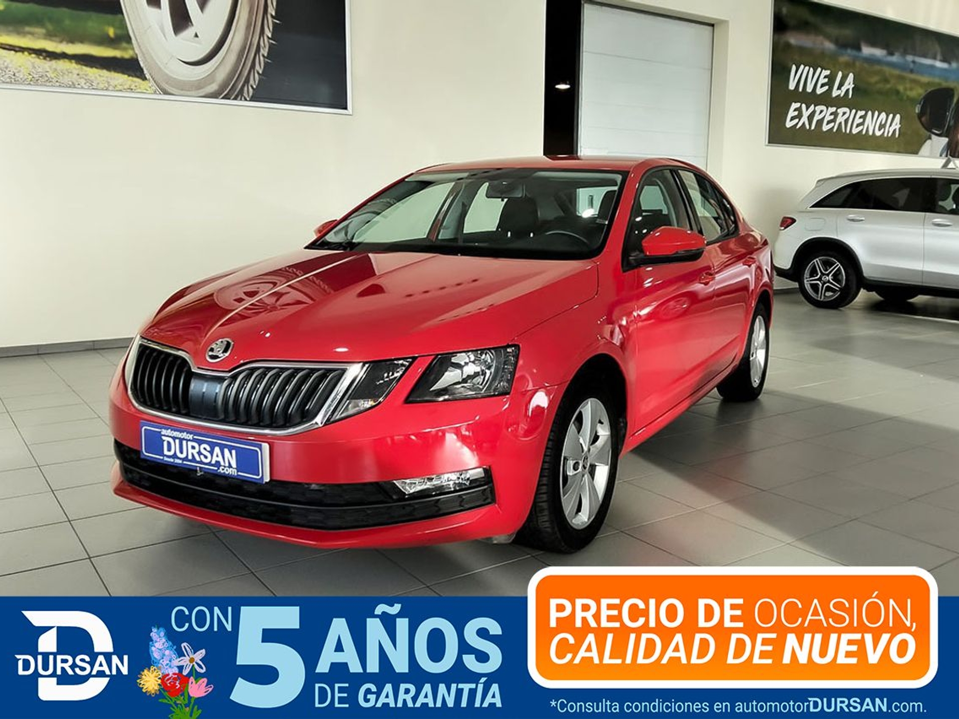 Imagen de SKODA Octavia