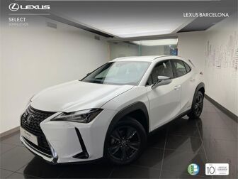 Imagen de LEXUS UX 250h Business 4WD