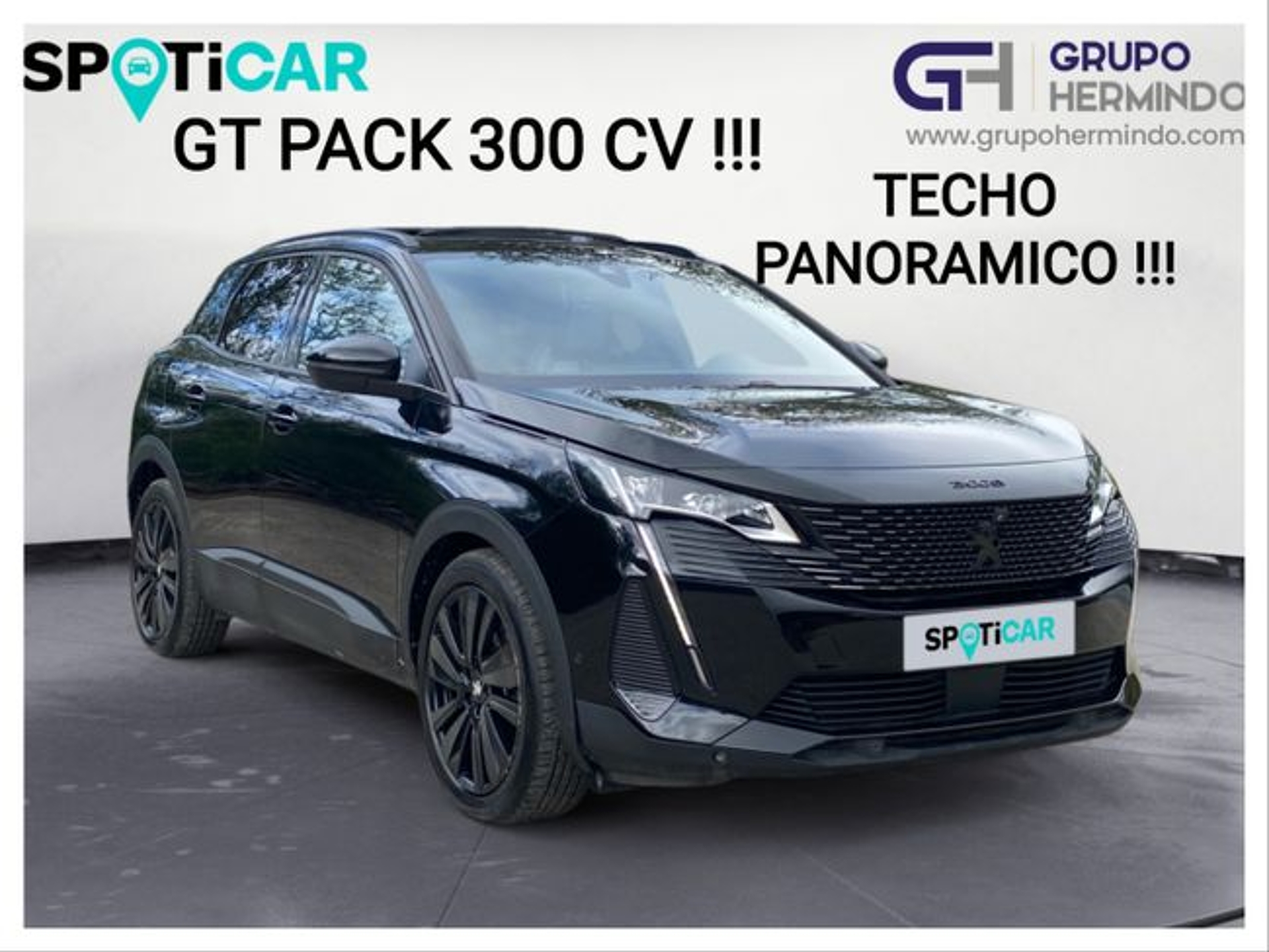 Imagen de PEUGEOT 3008