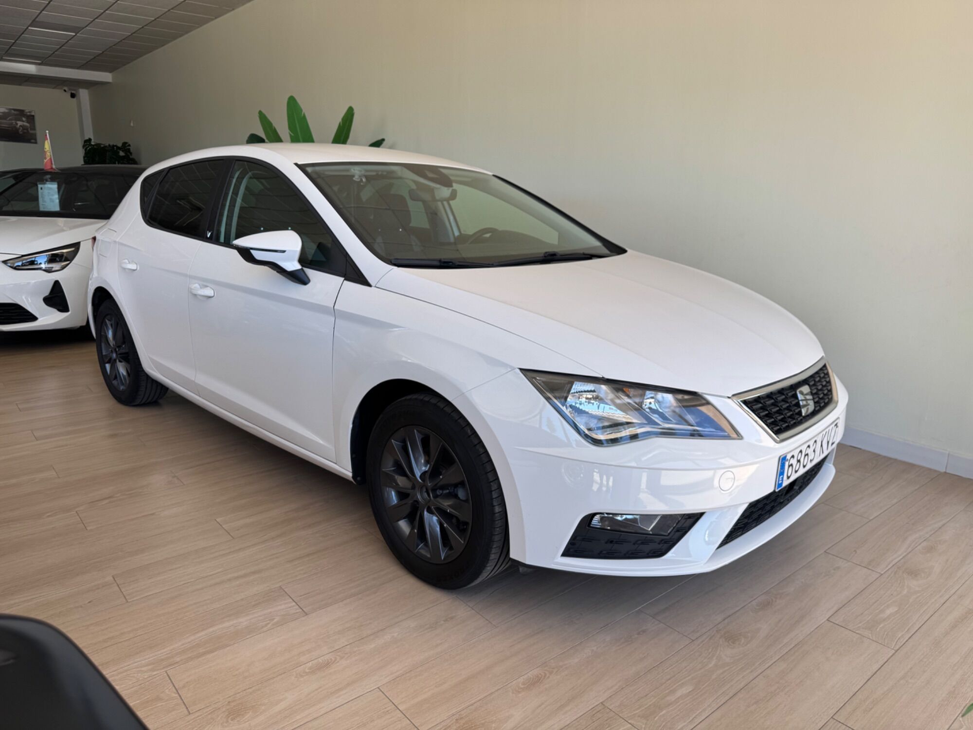 SEAT León (1.0 EcoTSI S&S Style 115) en Cádiz