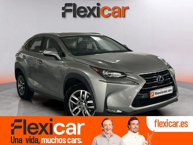 LEXUS NX (2.5 300h Business 2WD) en Alicante