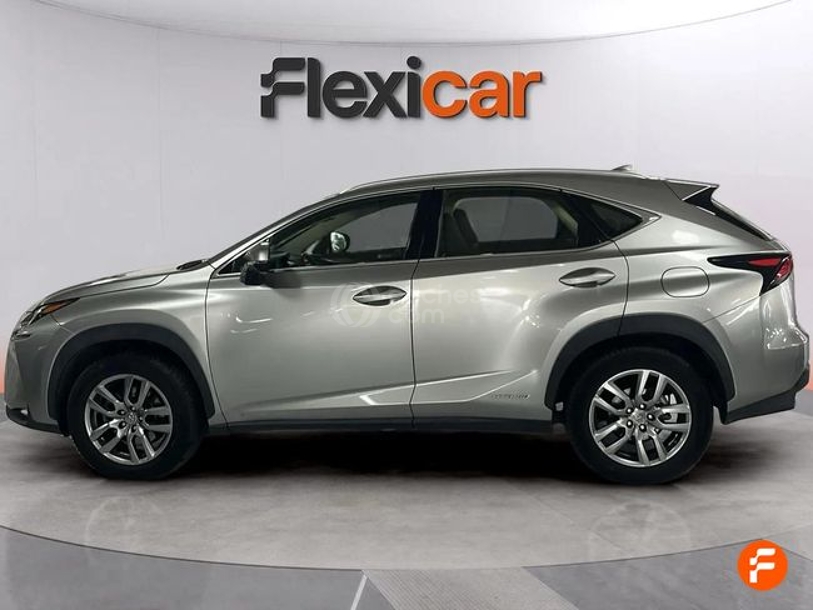 Foto del LEXUS NX 300h Business 2WD
