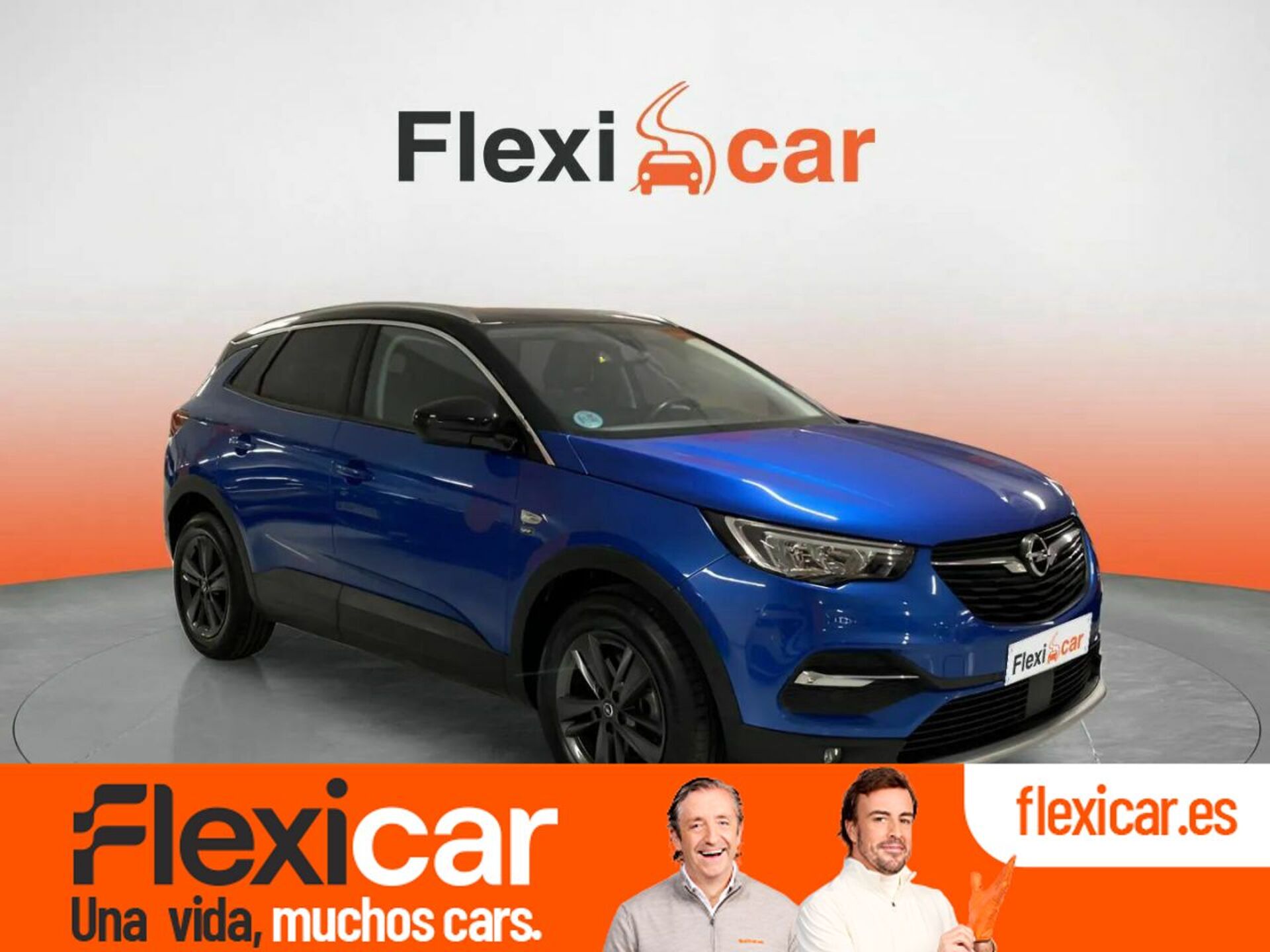 Imagen de OPEL Grandland X
