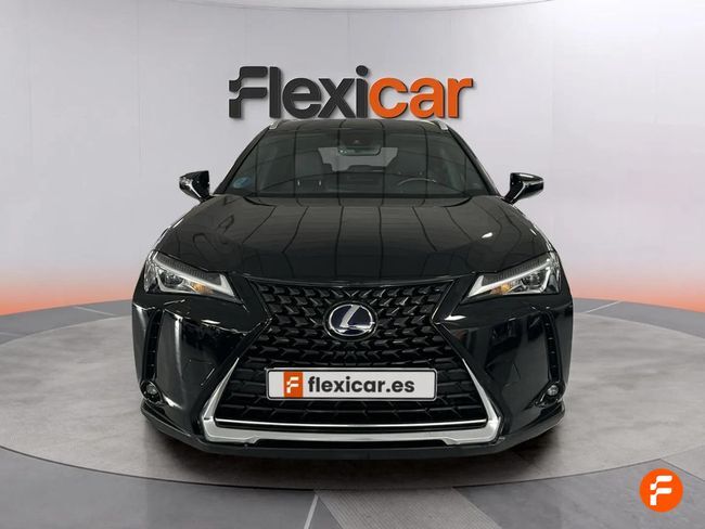 Foto del LEXUS UX 250h Business 4WD