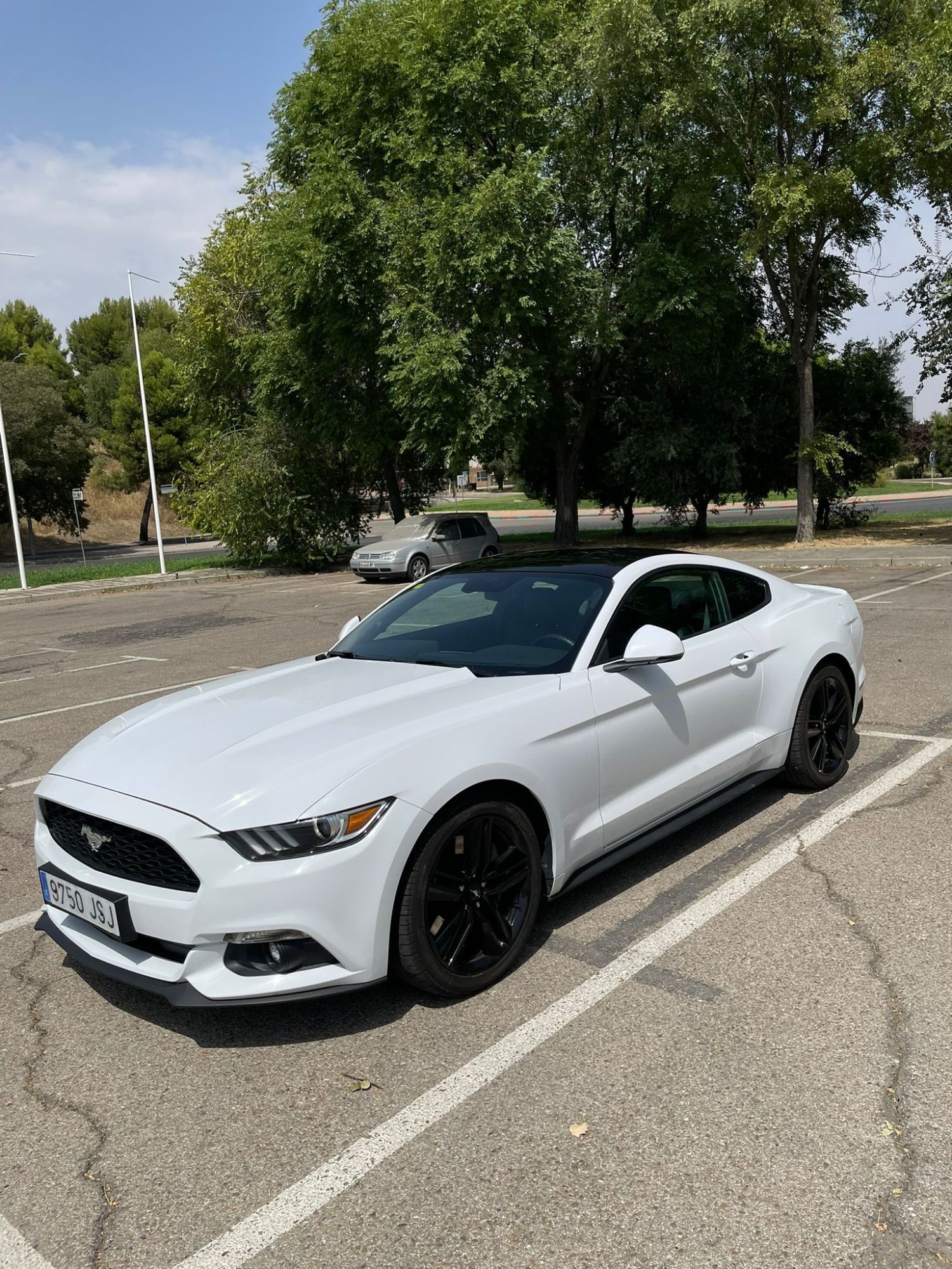 Foto del FORD Mustang Fastback 2.3 EcoBoost Aut.