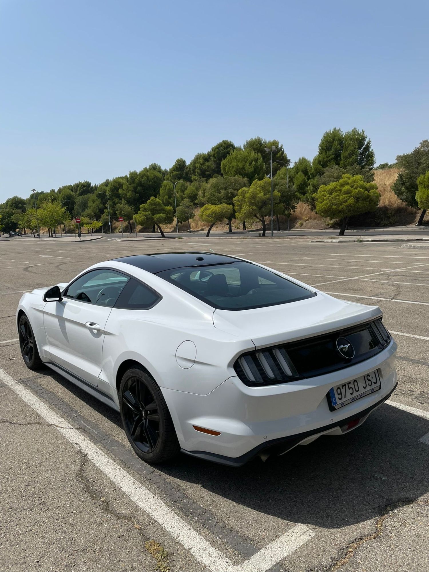 Foto del FORD Mustang Fastback 2.3 EcoBoost Aut.
