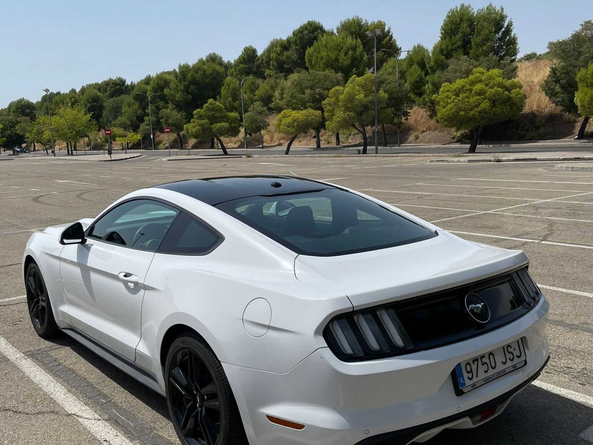 Imagen 3 de FORD Mustang