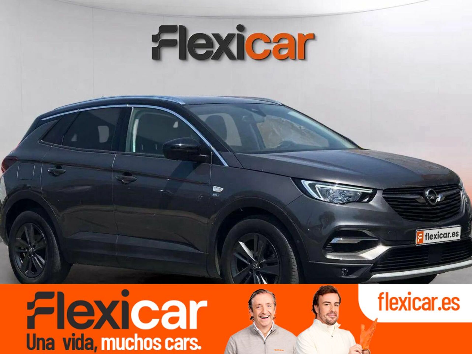 Imagen de OPEL Grandland X