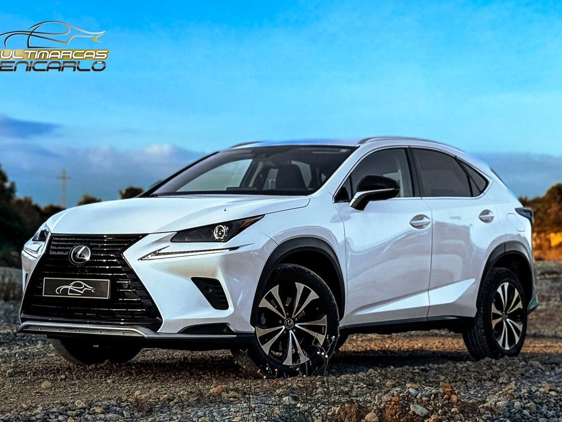 Imagen de LEXUS NX