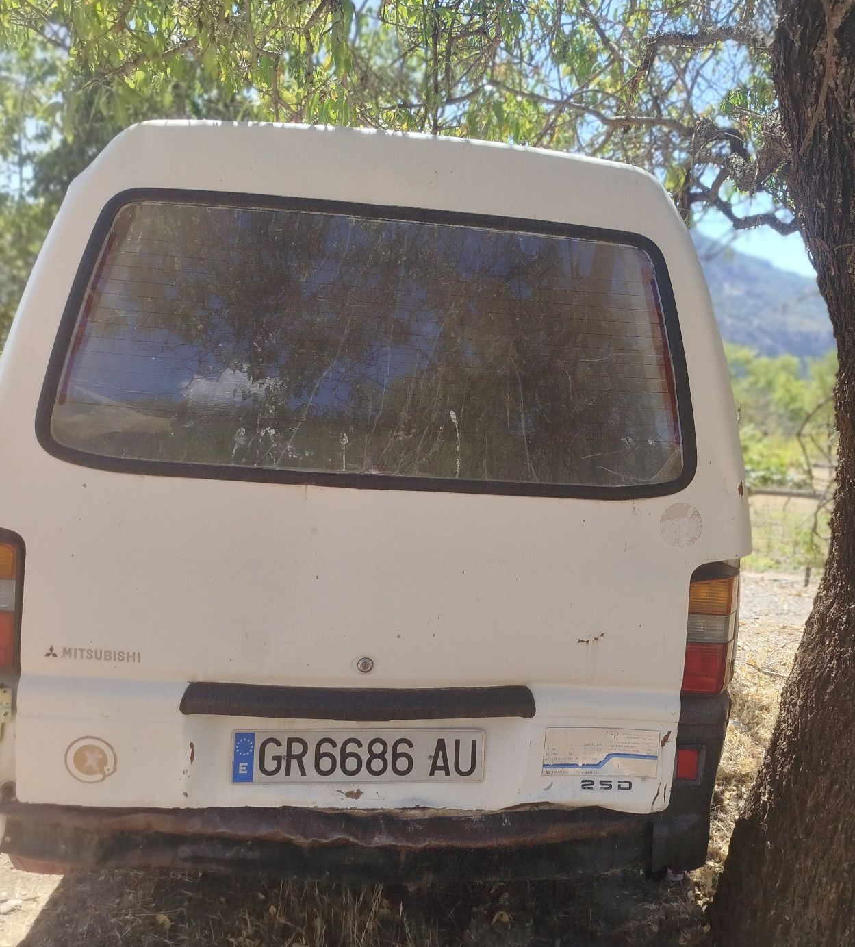 Foto del MITSUBISHI L300 PVL