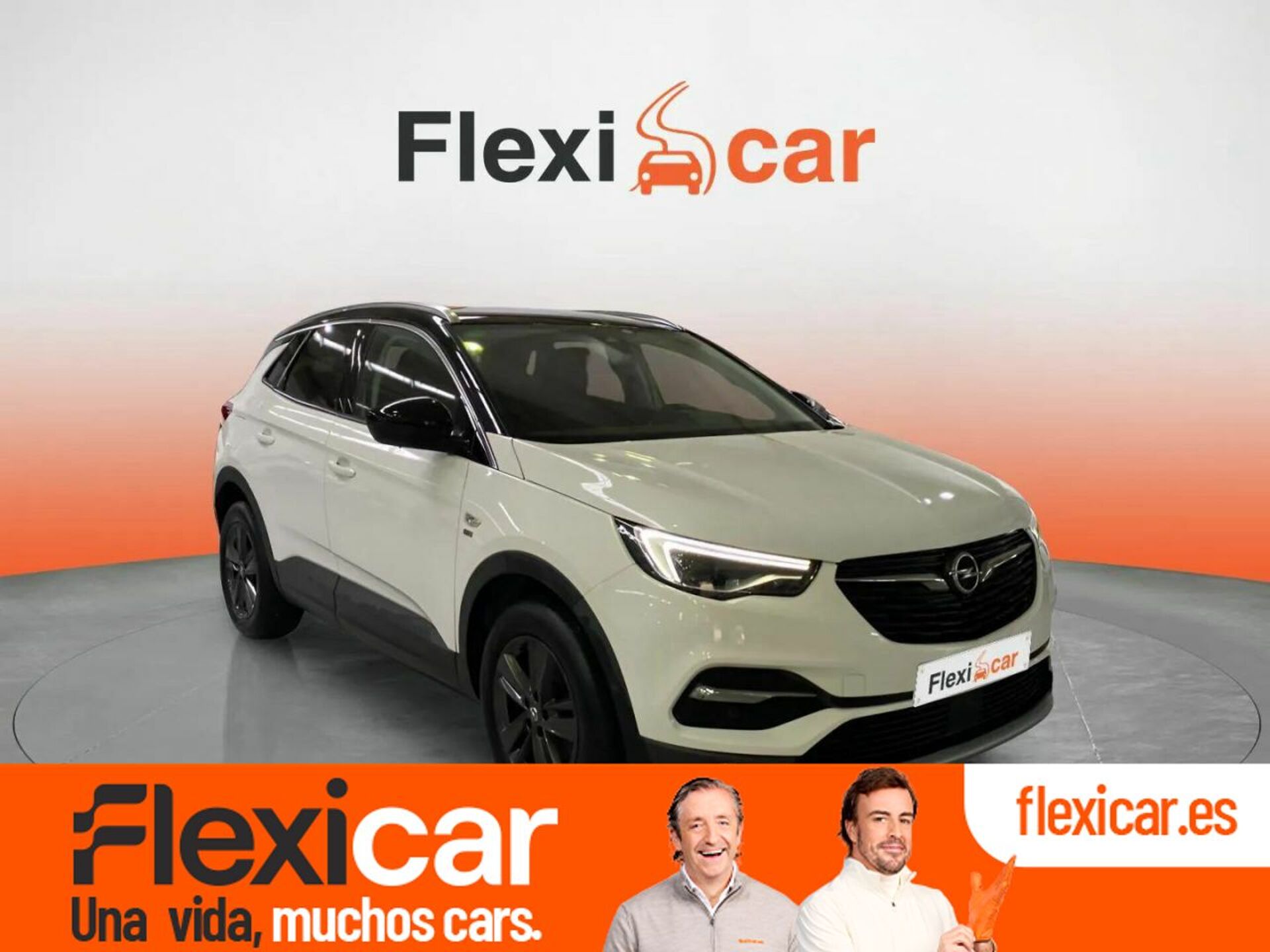 Imagen de OPEL Grandland X