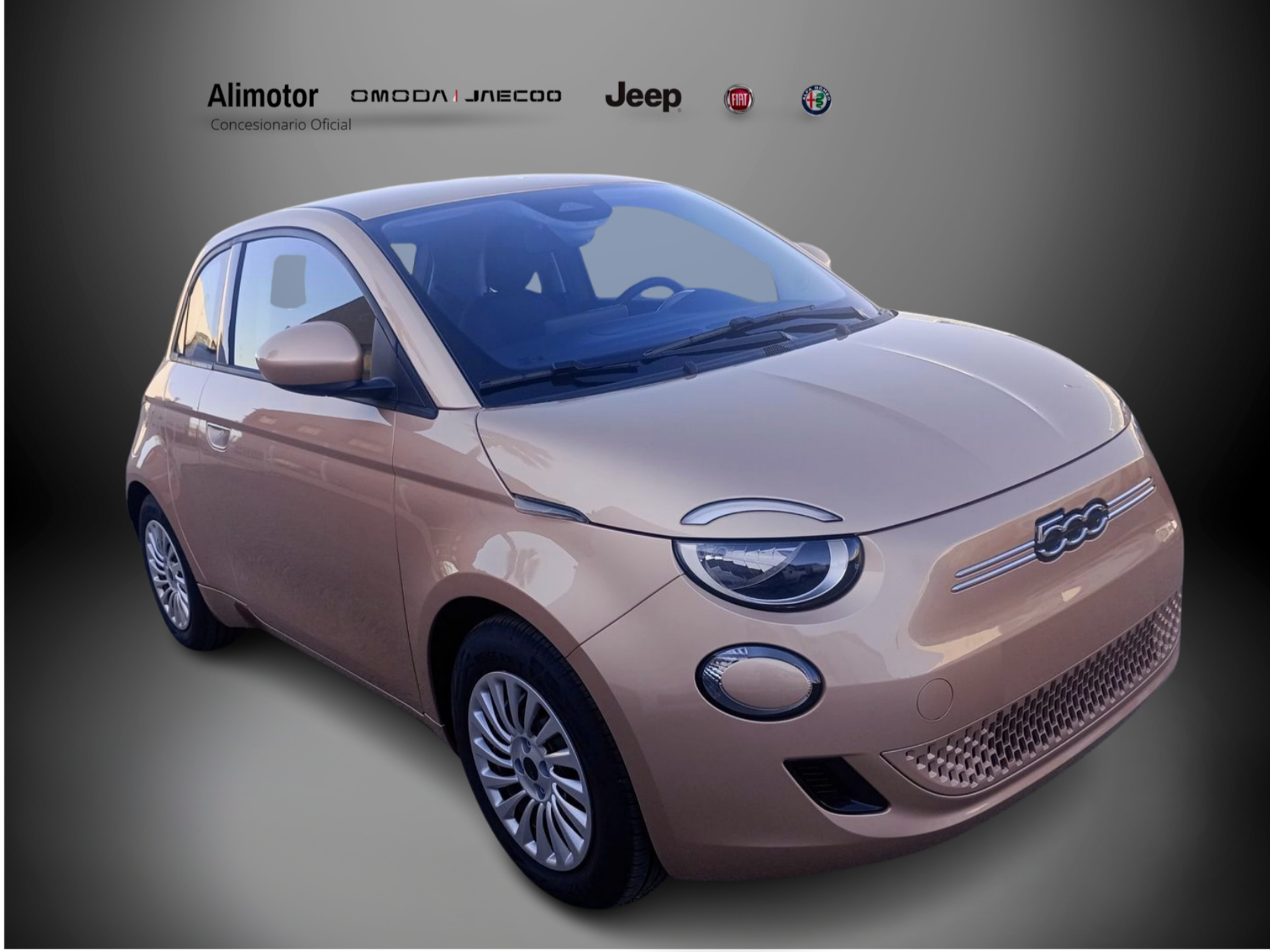Imagen 1 de FIAT 500