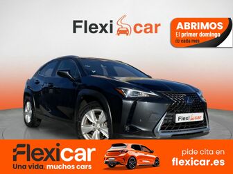 Imagen de LEXUS UX 250h Business 2WD