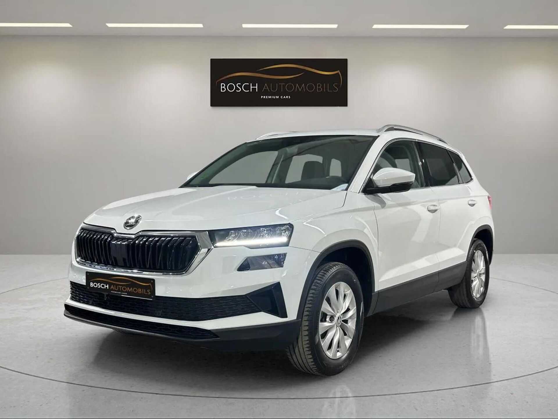 Imagen de SKODA Karoq
