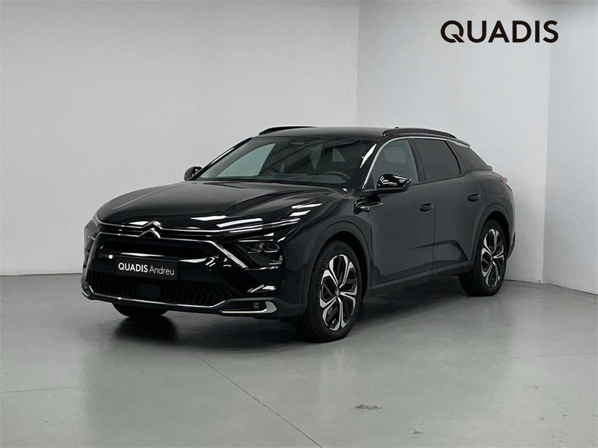 Imagen de CITROEN C5 X