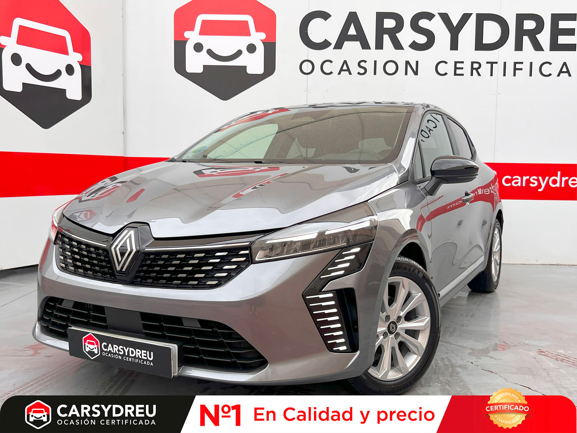 RENAULT Clio (evolution Eco-G 100cv (74kW)) en Madrid