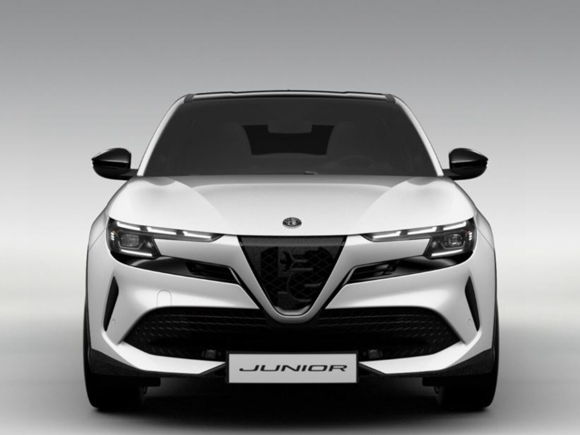 Imagen 2 de ALFA ROMEO Junior