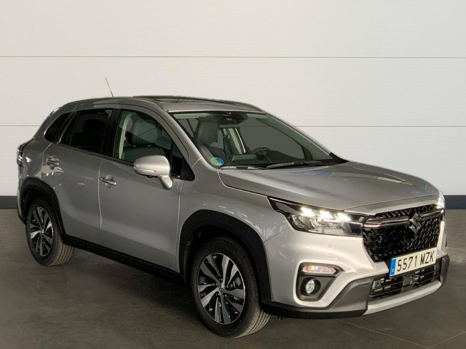 Imagen 1 de SUZUKI S-Cross