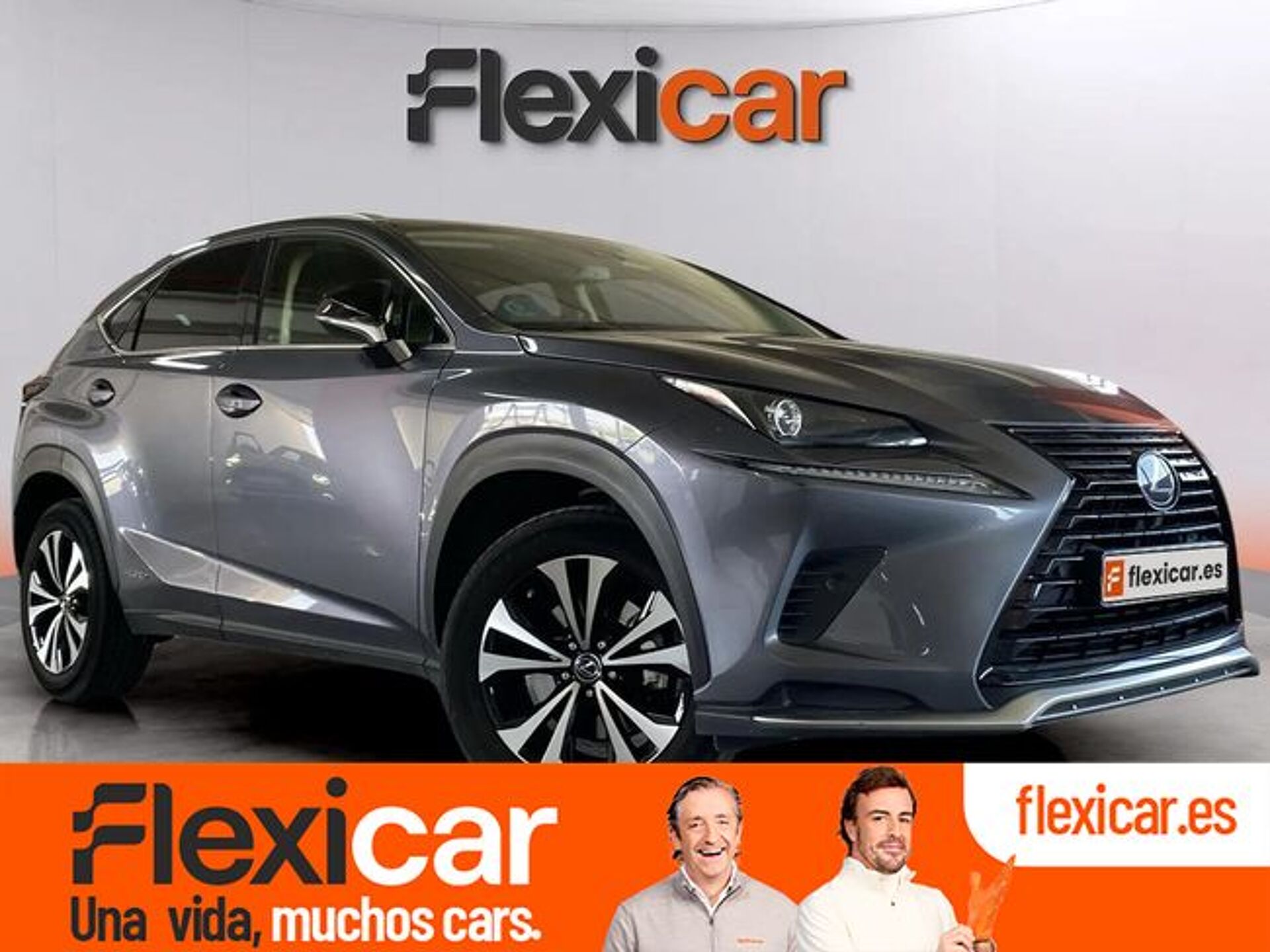 Imagen de LEXUS NX