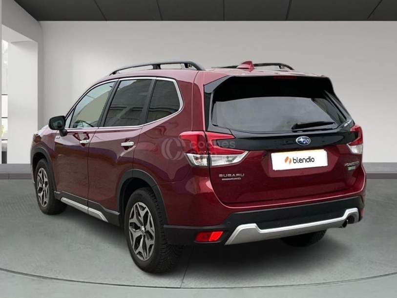 Foto del SUBARU Forester 2.0i Executive 4.75 CVT