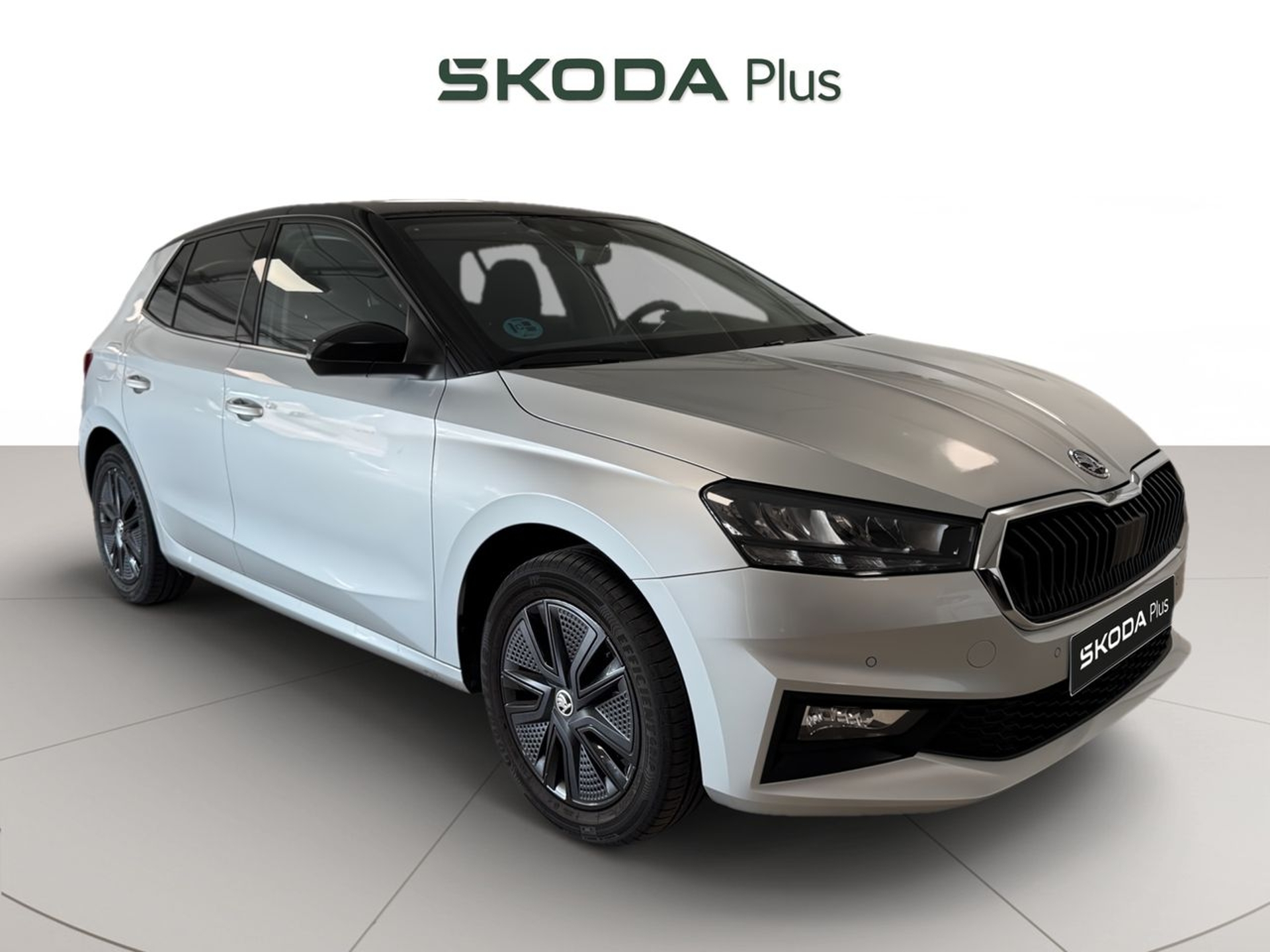Imagen de SKODA Fabia