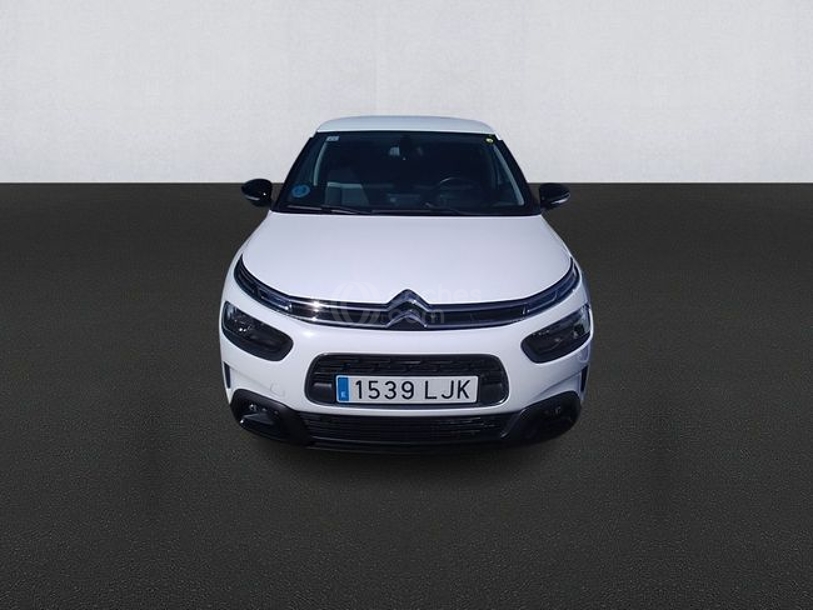 Foto del CITROEN C4 Cactus 1.5BlueHDi S&S Shine 100