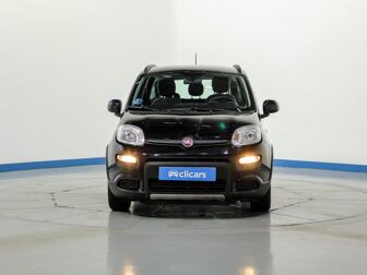 Imagen de FIAT Panda 1.0 Gse City Live Hybrid