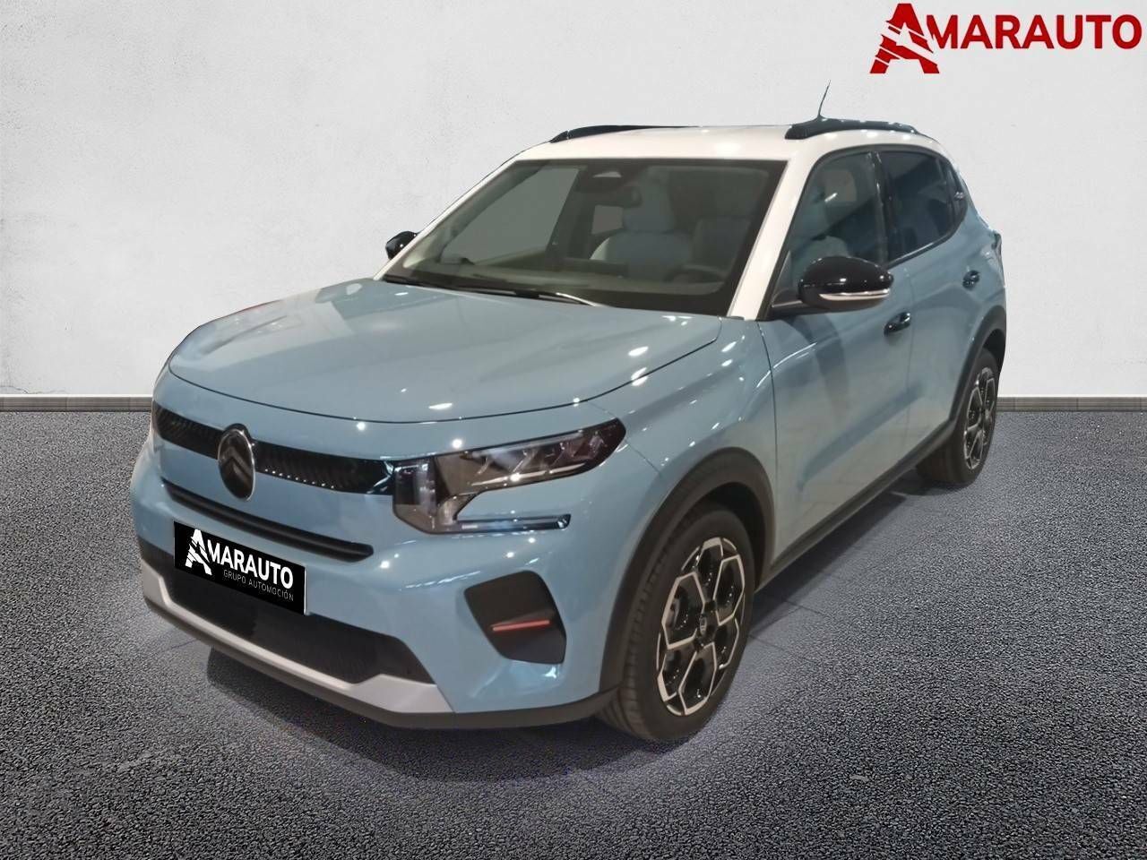 CITROEN C3 ( Turbo 100 Max) en Madrid