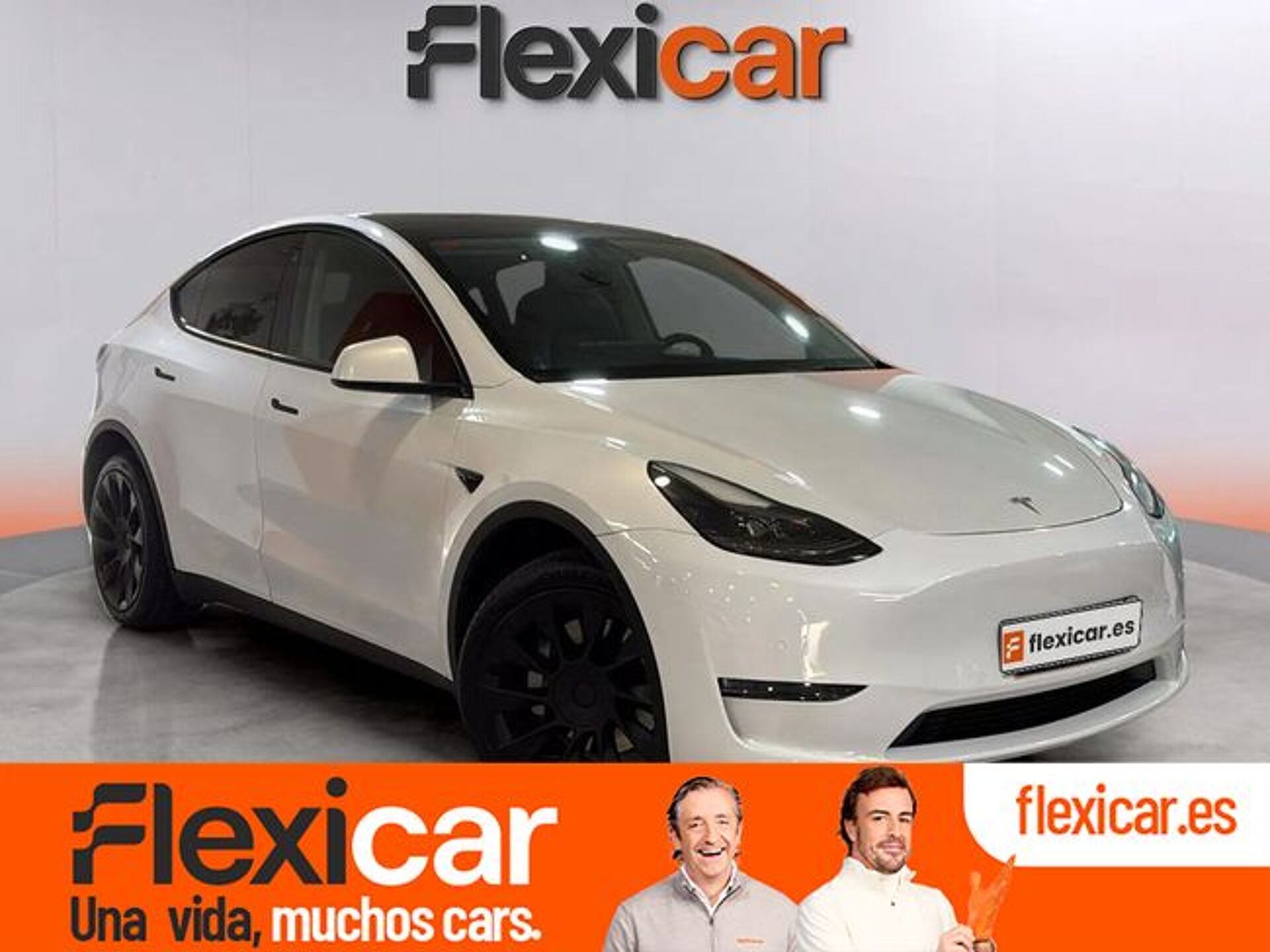 Imagen 1 de TESLA Model Y