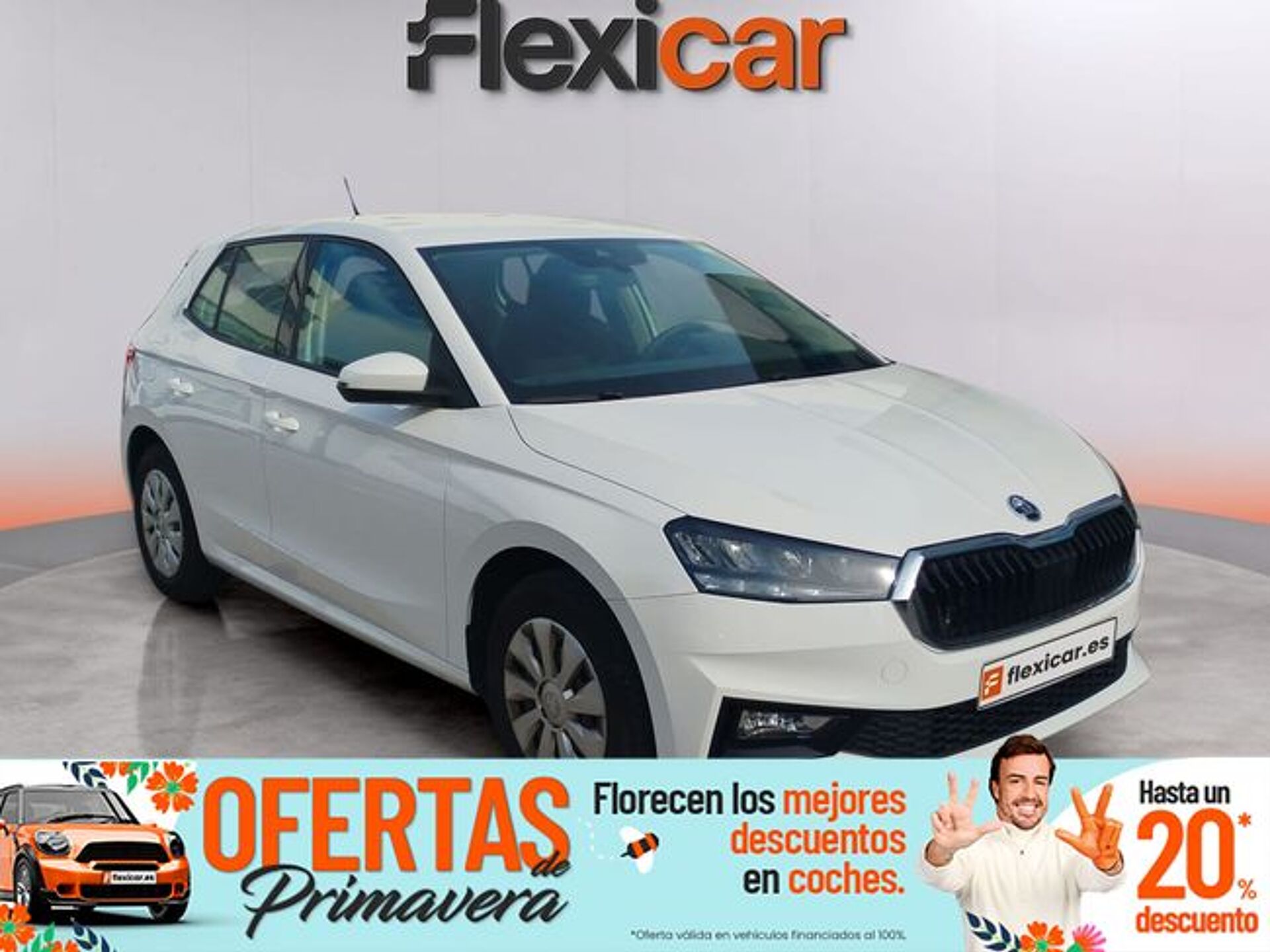 Imagen 1 de SKODA Fabia