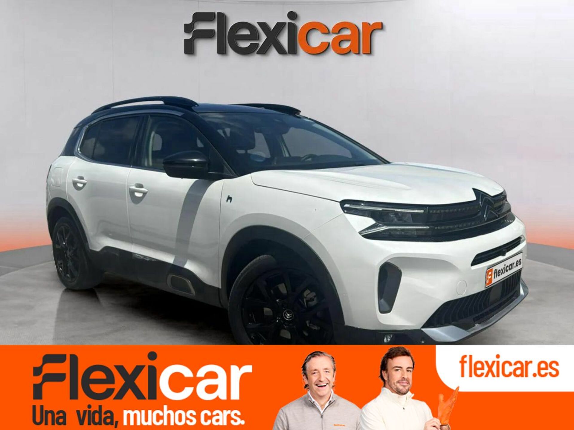 Imagen de CITROEN C5 Aircross