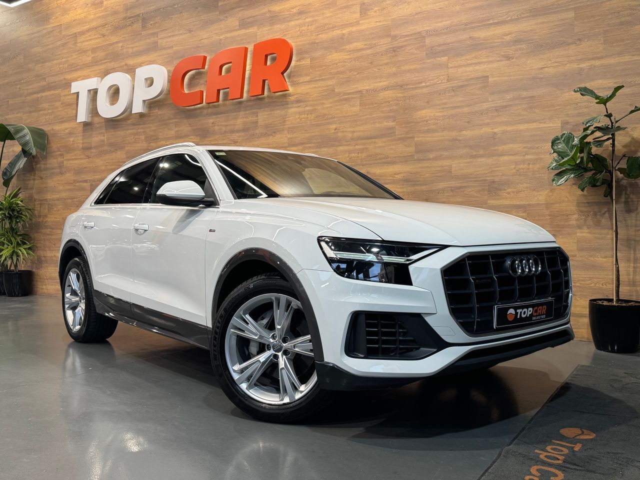 AUDI Q8 (4.5  Tdi  Quattro Sline) en Vizcaya