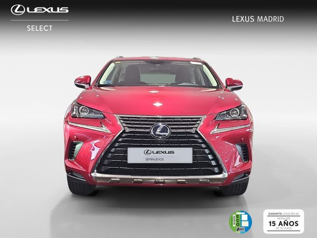 Foto del LEXUS NX 300h Business Navigation 2WD