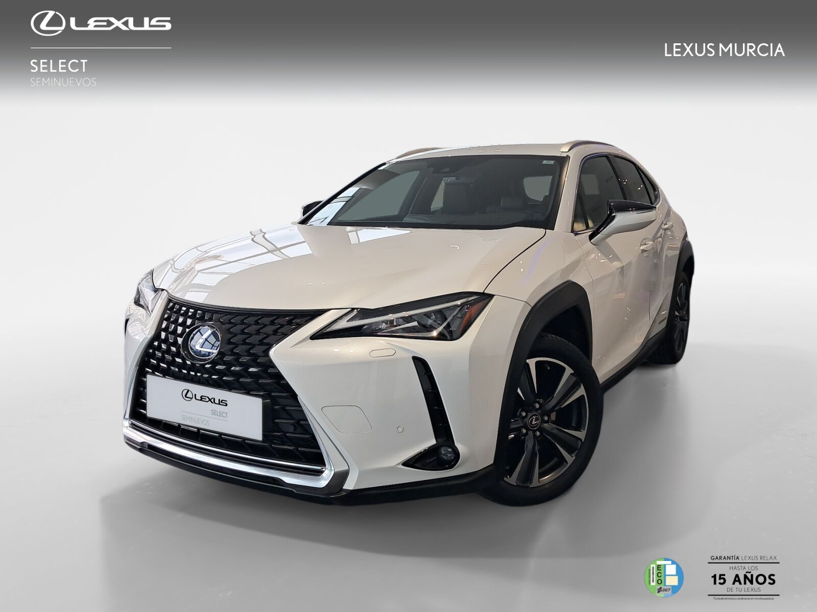Foto del LEXUS UX 250h Premium 2WD