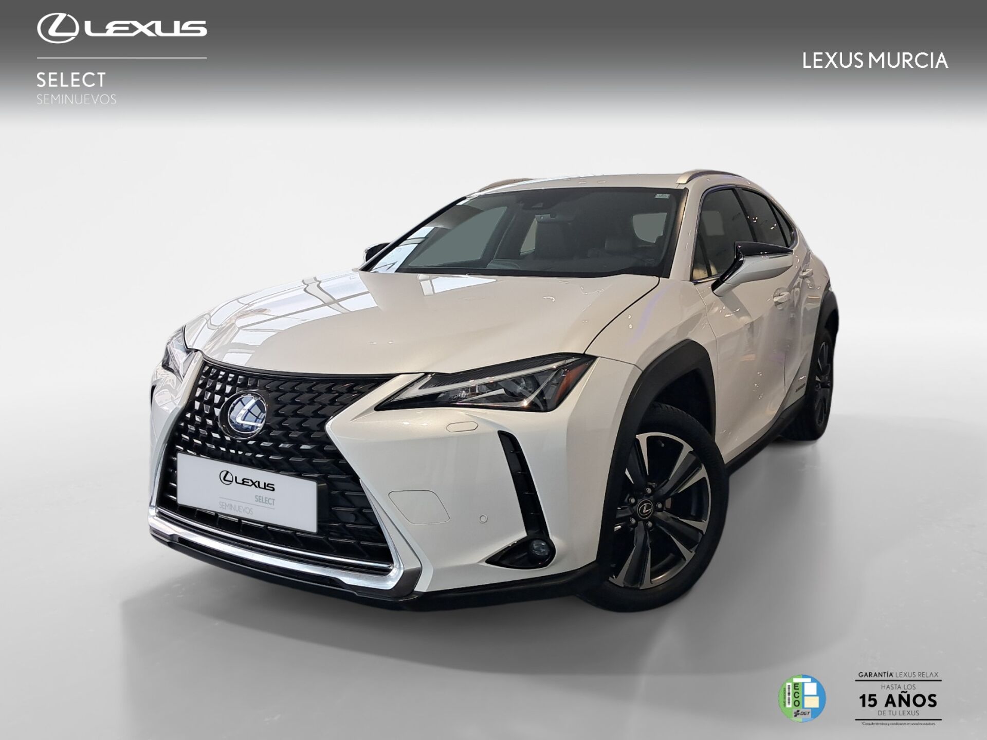 Imagen 1 de LEXUS UX