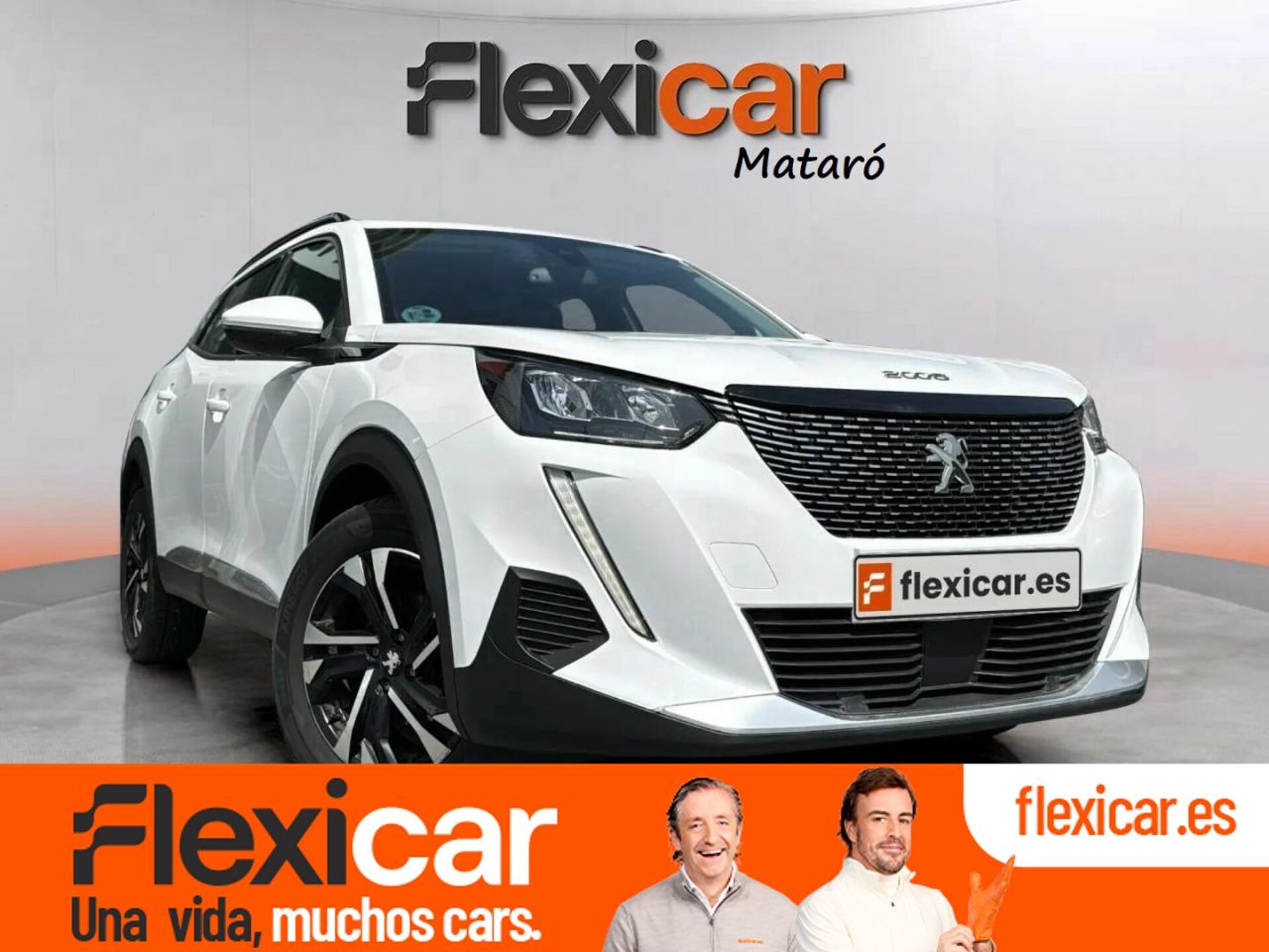 Imagen de PEUGEOT 2008