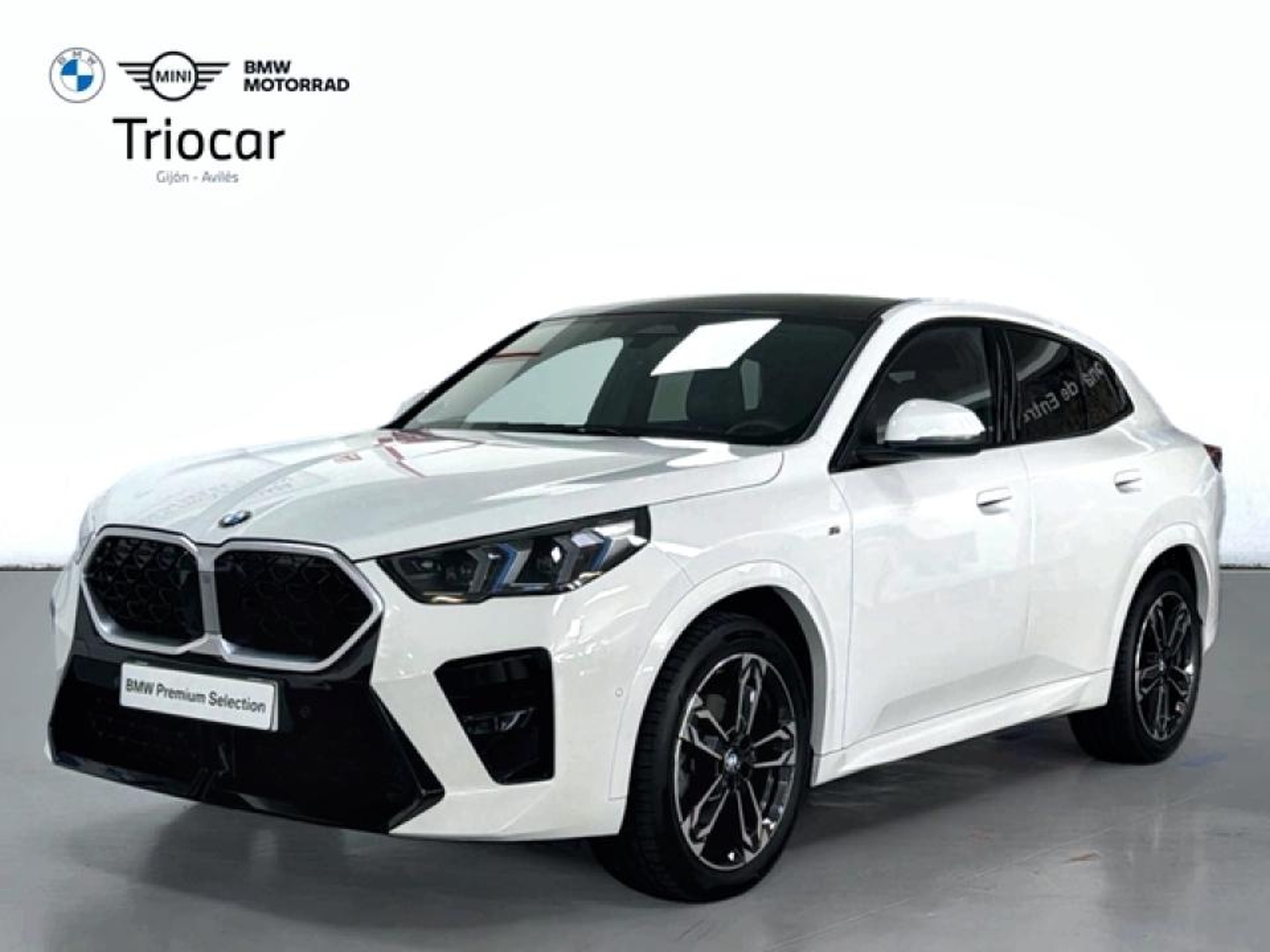 Imagen de BMW X2