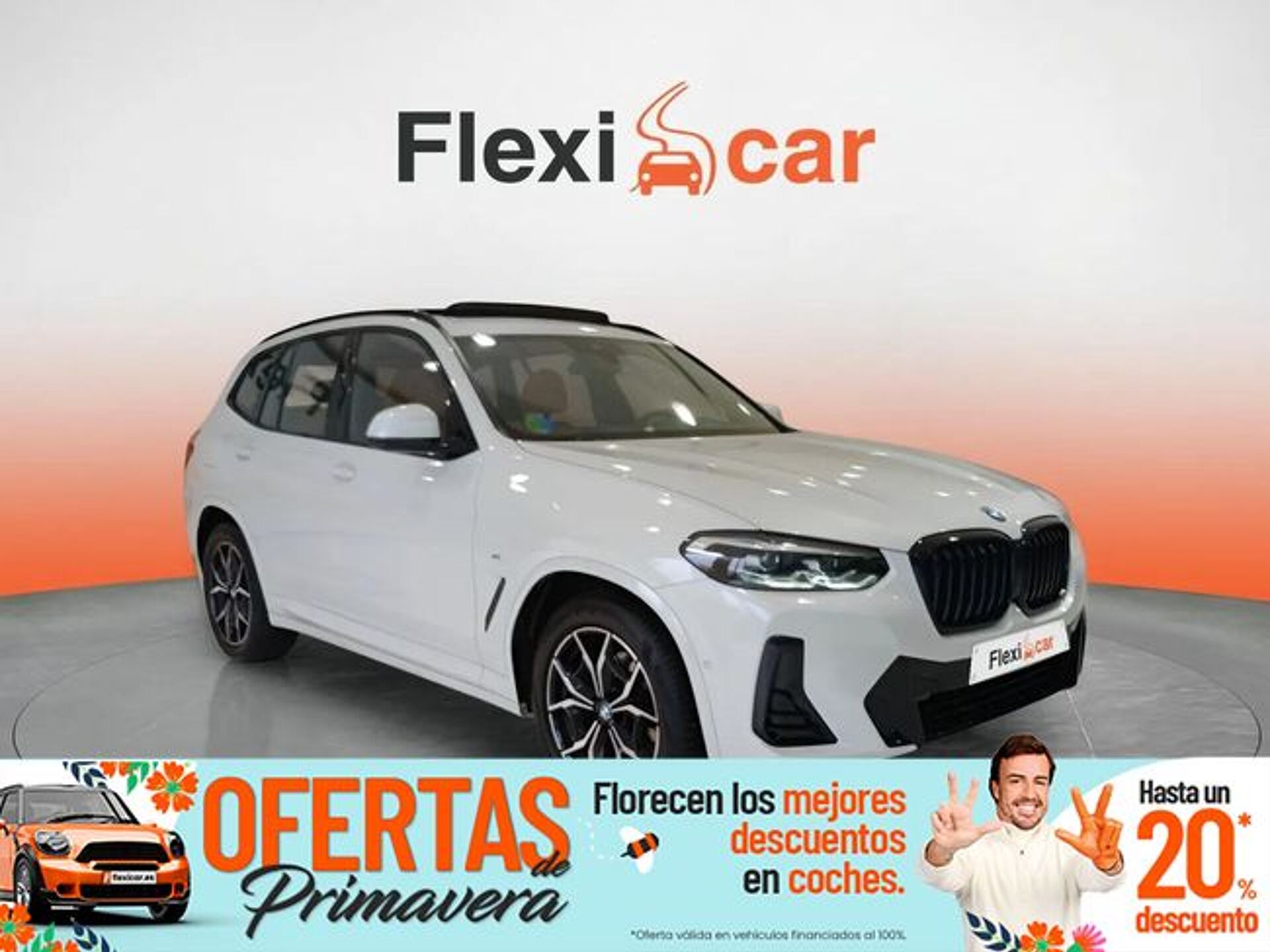 Imagen 1 de BMW X3