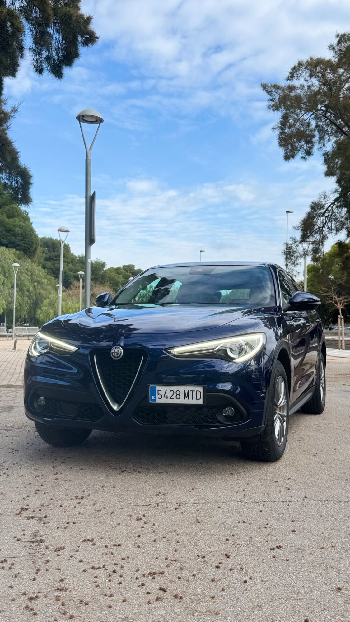 Foto del ALFA ROMEO Stelvio 2.2 Super RWD 190 Aut.