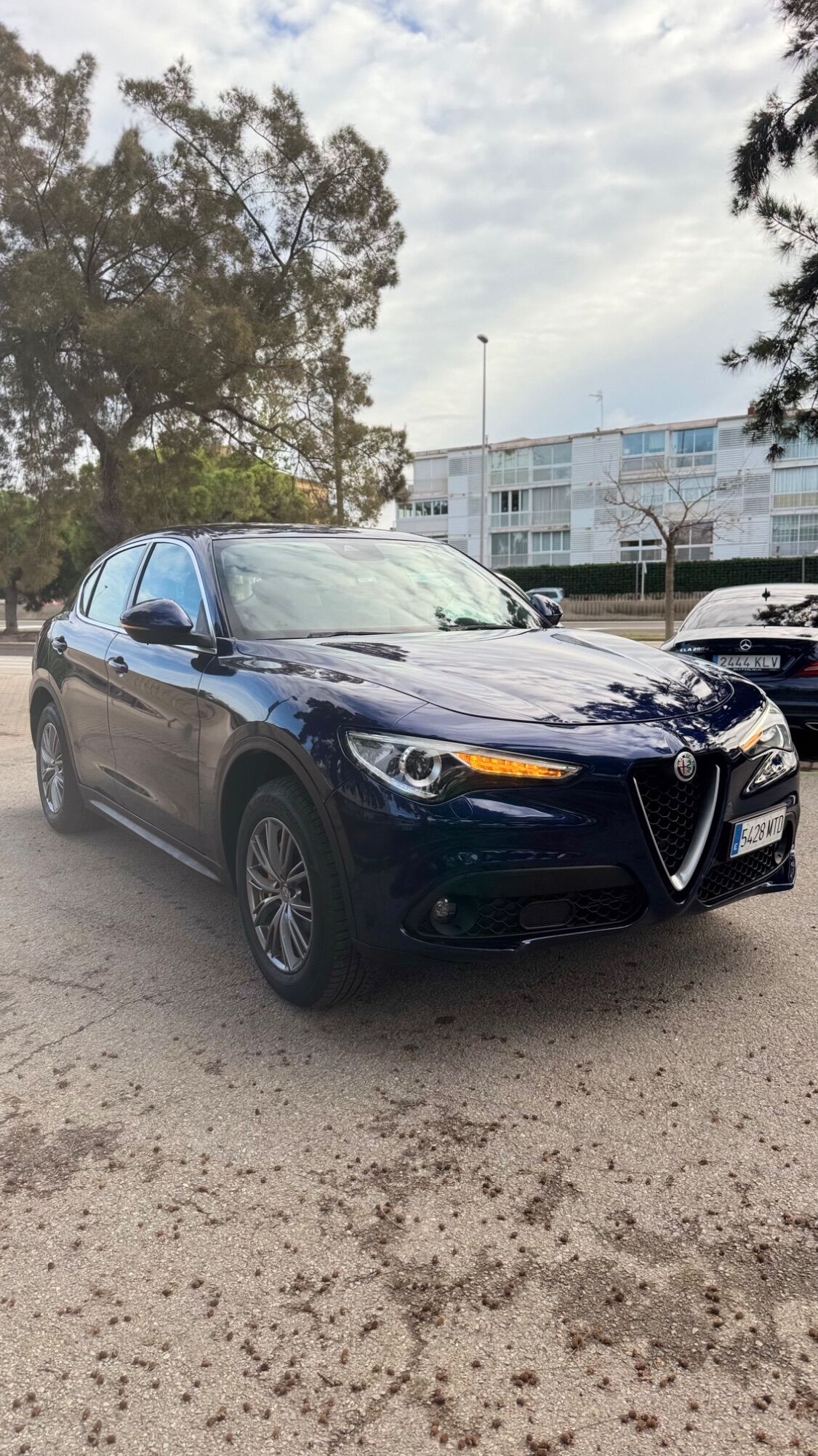 Foto del ALFA ROMEO Stelvio 2.2 Super RWD 190 Aut.