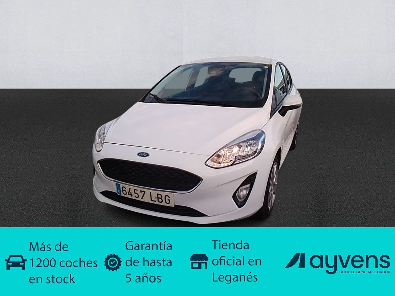 FORD Fiesta (1.0 EcoBoost S&S Trend 74 kW (100 CV)) en Madrid