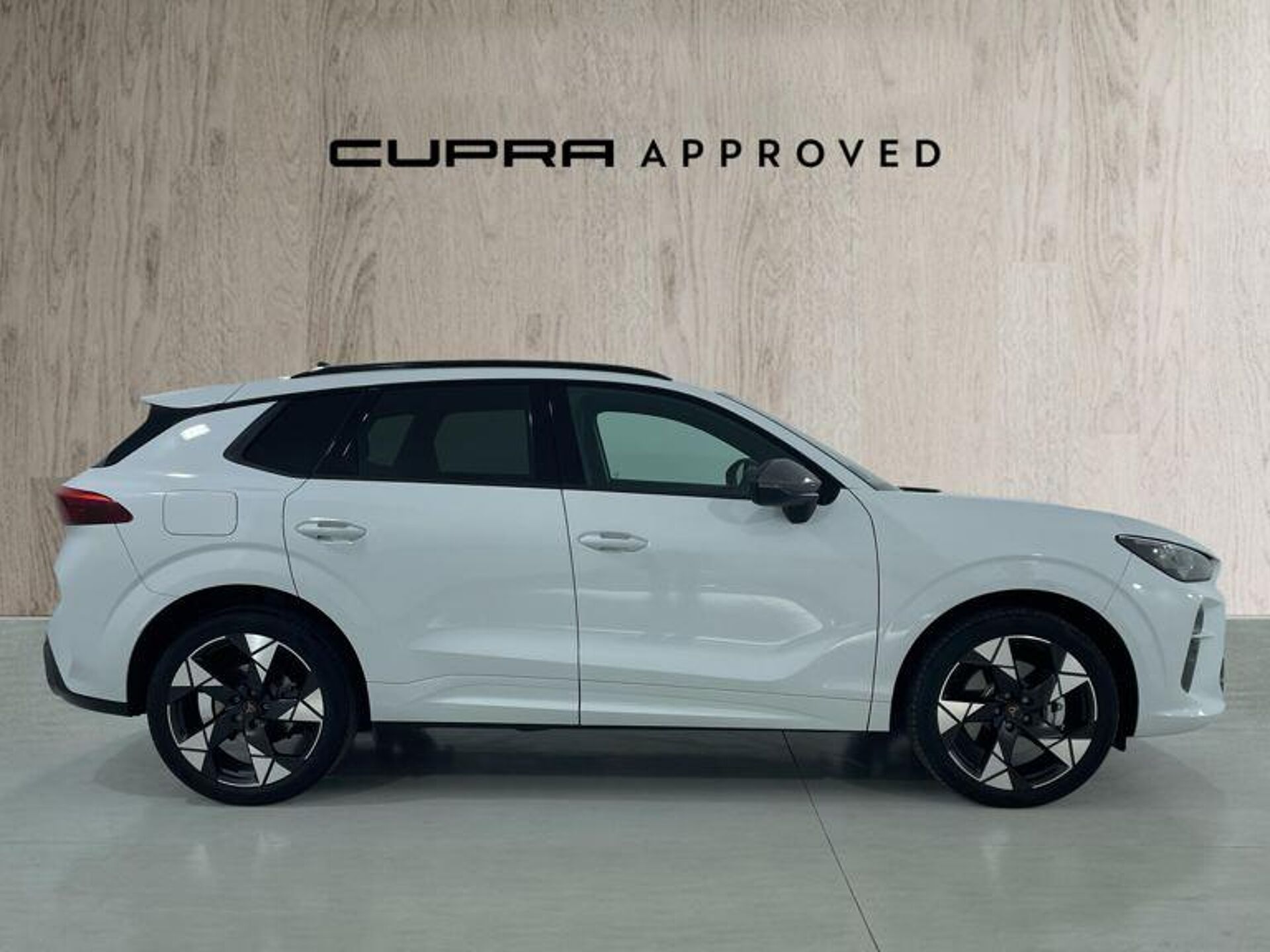 Imagen 3 de CUPRA Terramar
