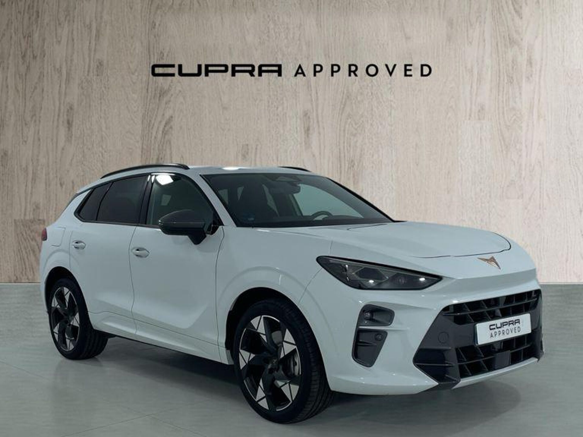 Imagen 1 de CUPRA Terramar