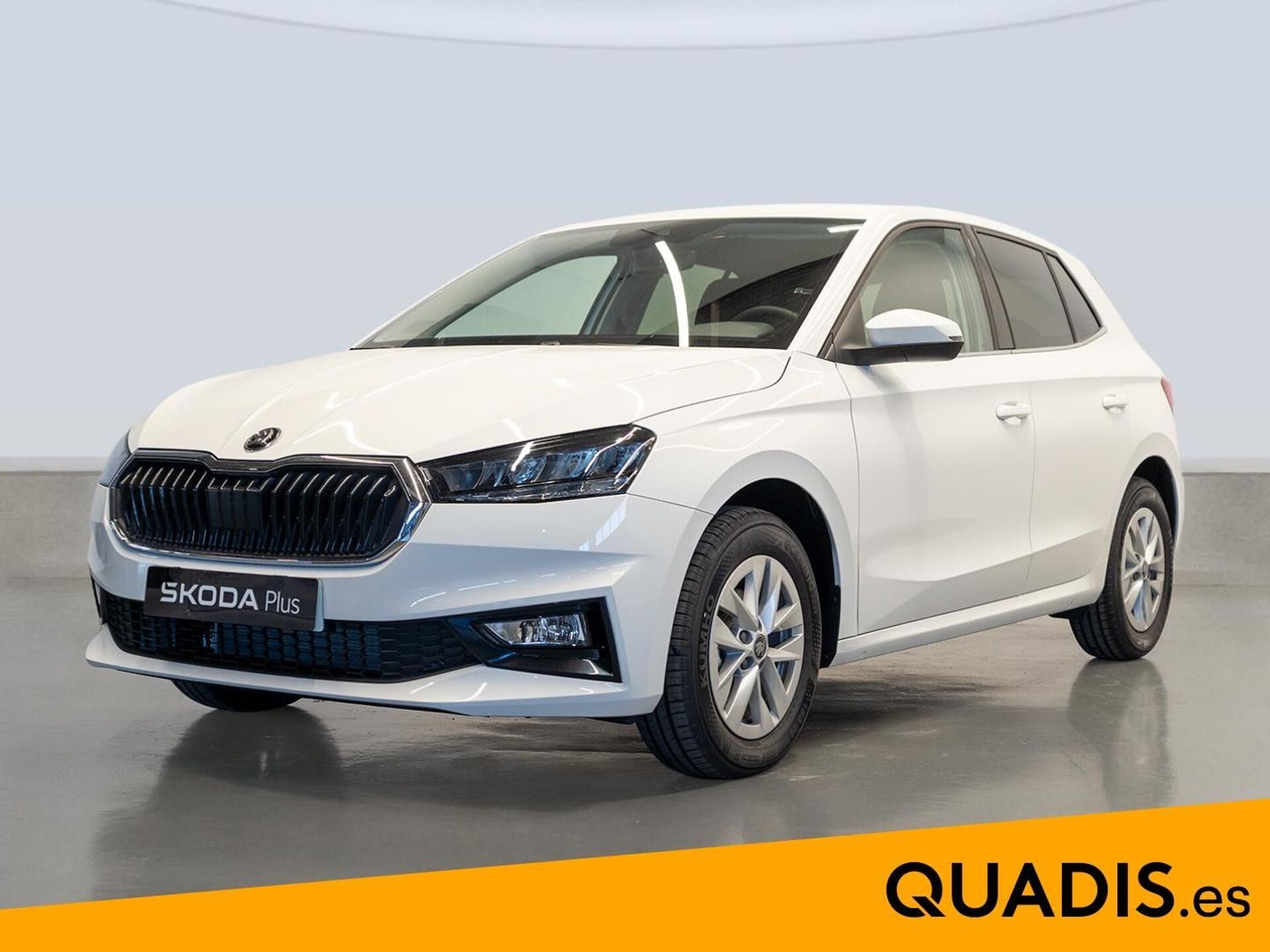 Imagen 1 de SKODA Fabia